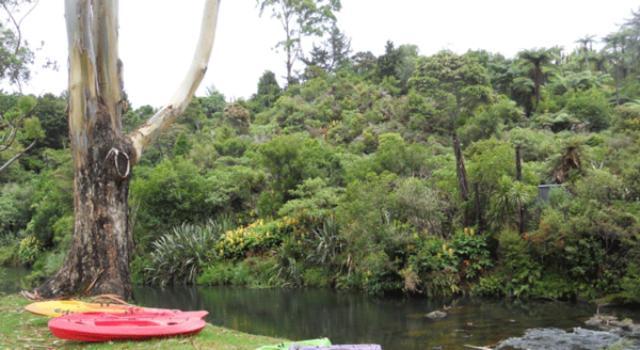 Kerikeri Holiday Park & Motels Exterior foto